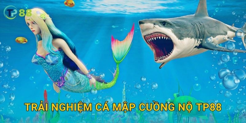 Trải nghiệm Cá Mập Cuồng Nộ TP88